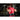 6" Padded Leather Belts